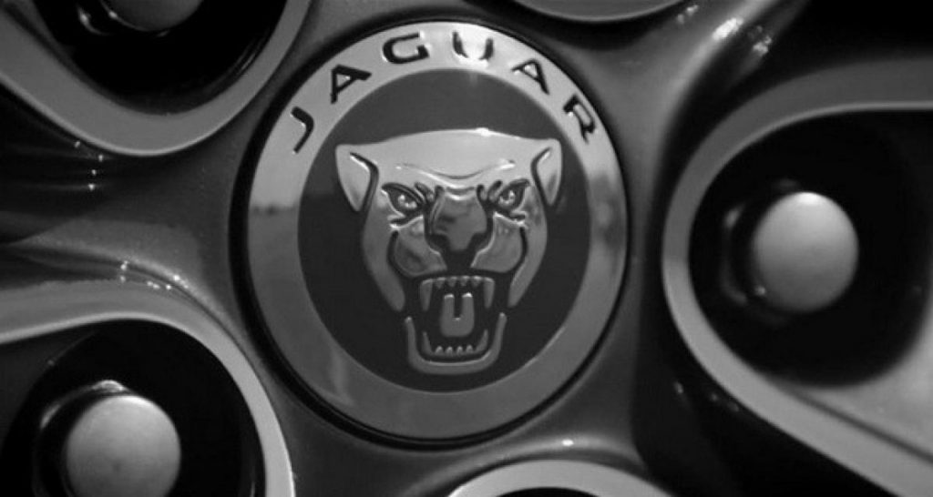 Vers une autre petite Jaguar ?
