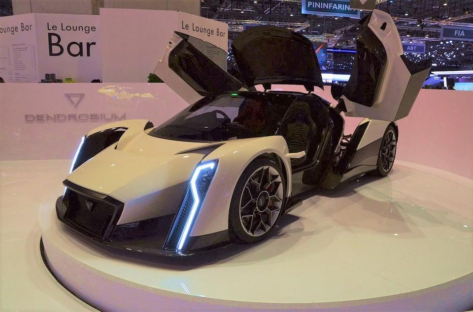 hd-genve_2017_live_dendrobium_1-9