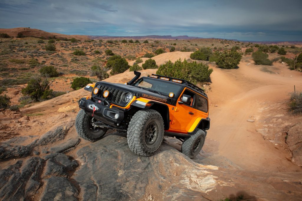 2026_EJS_Wangler-Buzzcut_03