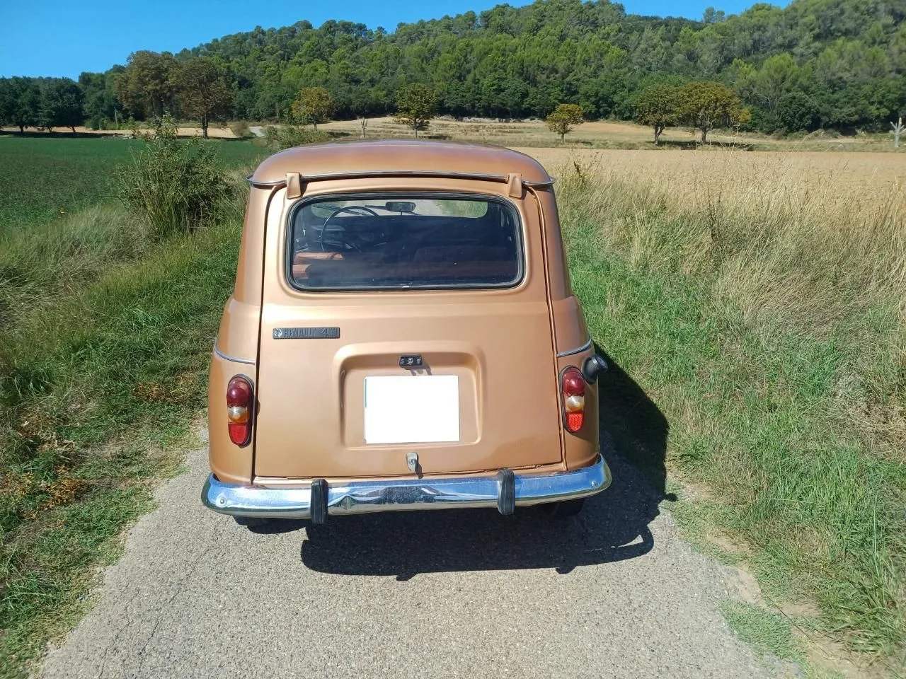 L’ancienne du jour : Renault 4L de 1976 à vendre, une deuxième main d'origine, sans rouille, en teinte rarissime L’ancienne du jour : Renault 4L de 1976 à vendre, une deuxième main d'origine, sans rouille, en teinte rarissime